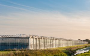 How Pure-Bore® is helping reduce the carbon footprint of horticulture in Europe